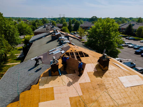 Trusted Roof Installation service in Swisshome, OR - Brentwood Metal Roofing